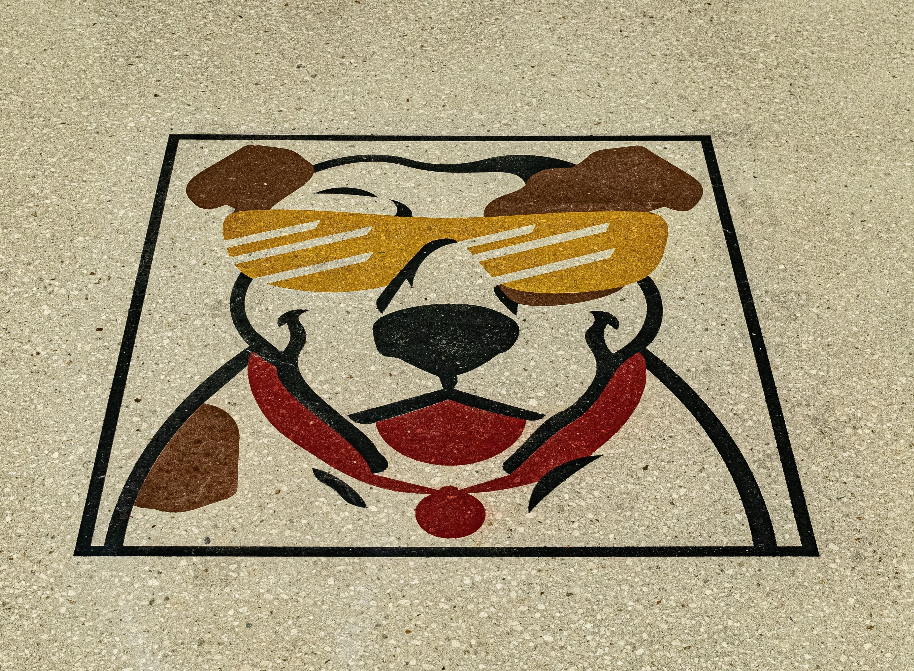 Concrete Stains: How to Transform Concrete Floors