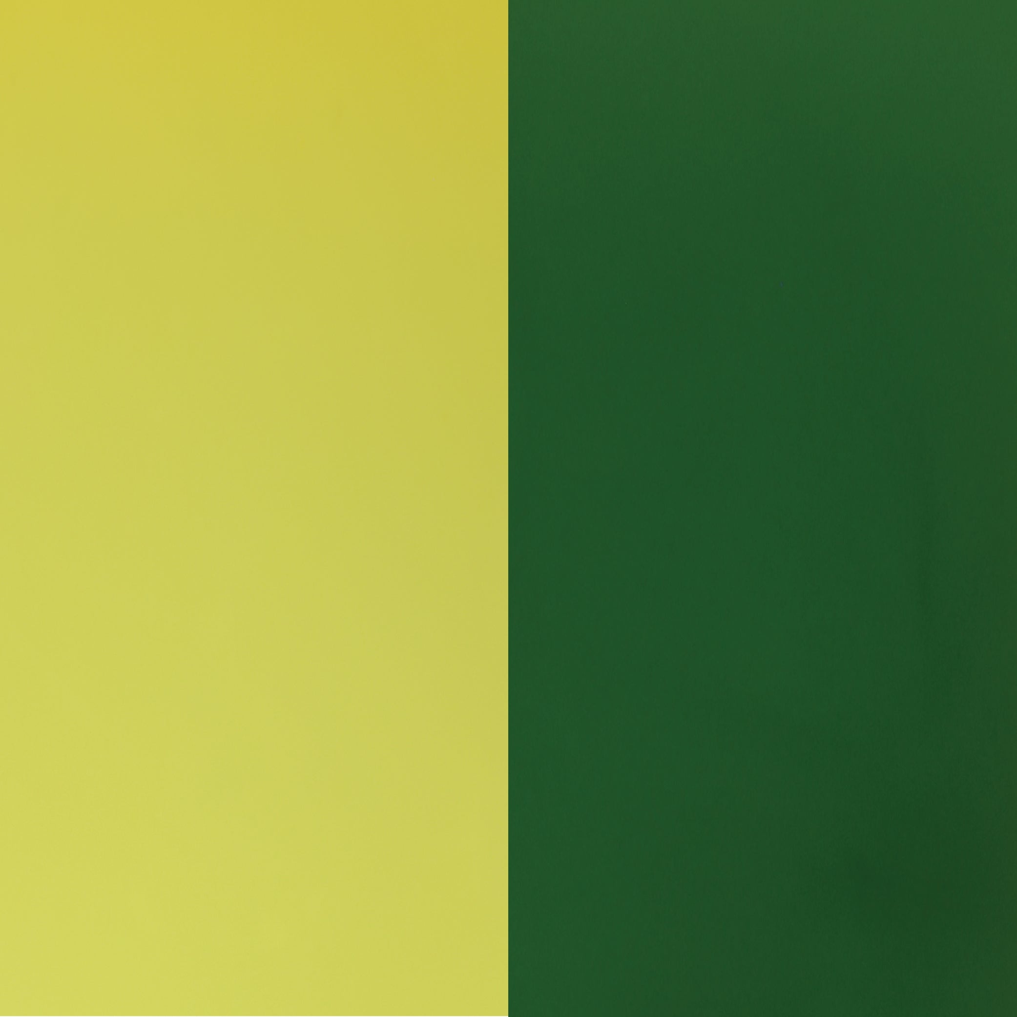 Radiant Pigment - Yellow