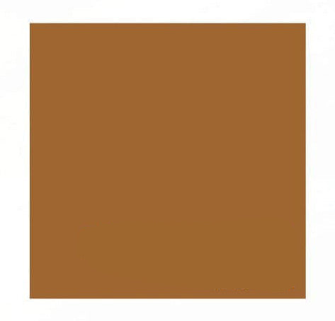 Light Brown Epoxy Color Pigment Additive | EpoxyETC