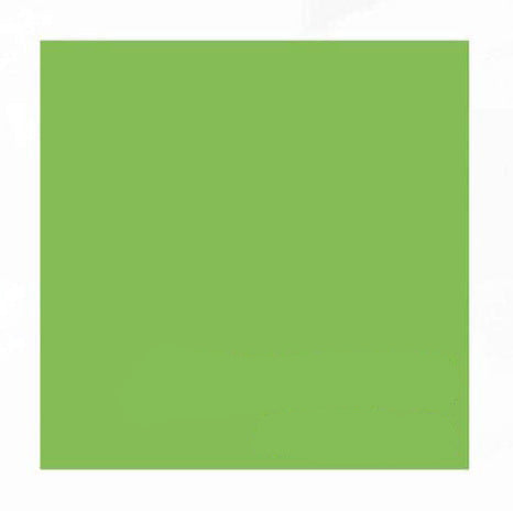 Lime Green Epoxy Color Pigment Additive | EpoxyETC